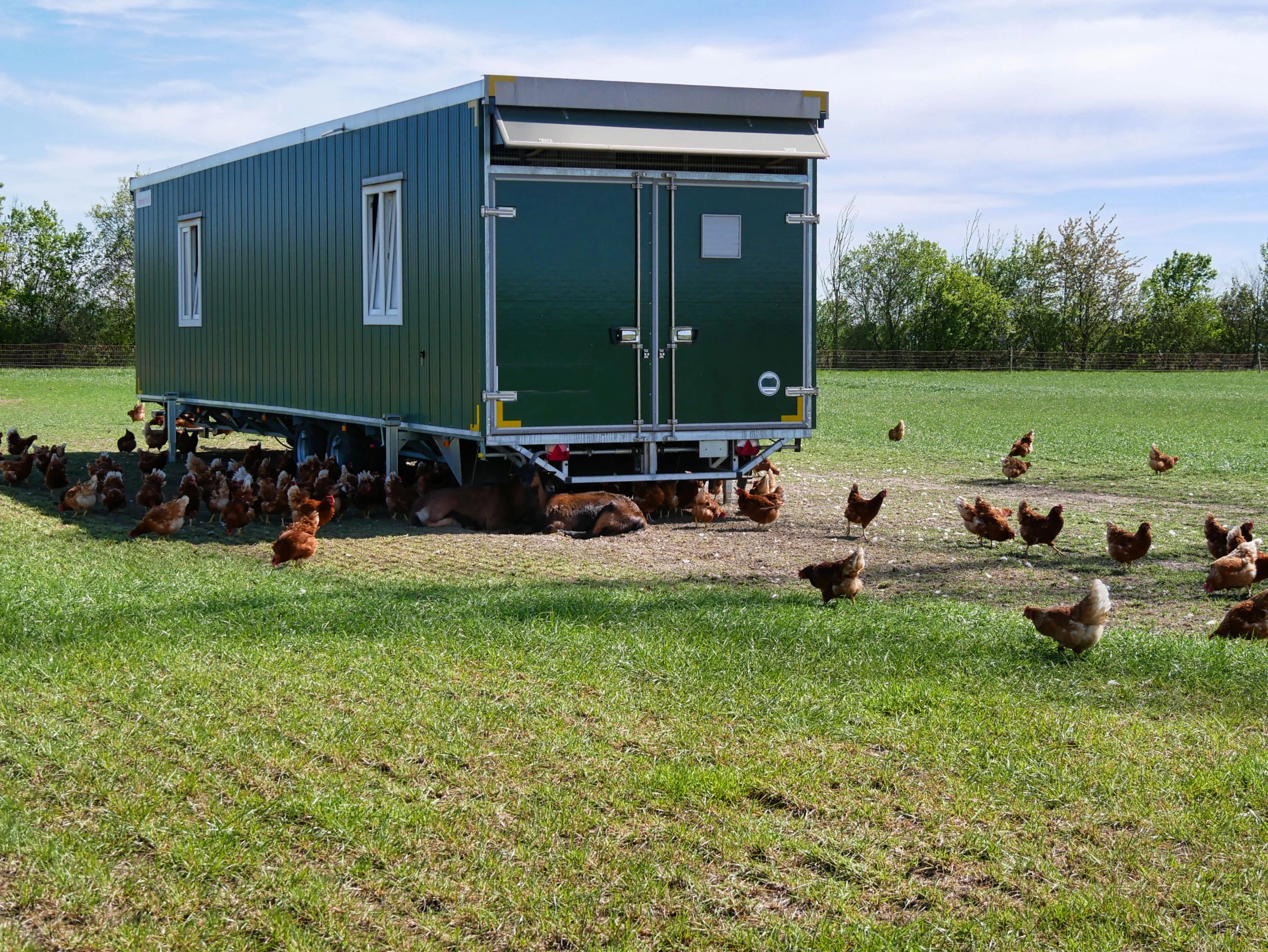 Asian Portable Cabins